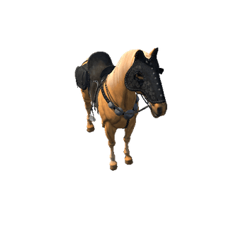 Hero_Horse_palomino Prefab